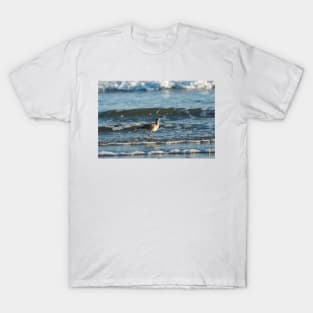 Black-tailed godwit T-Shirt